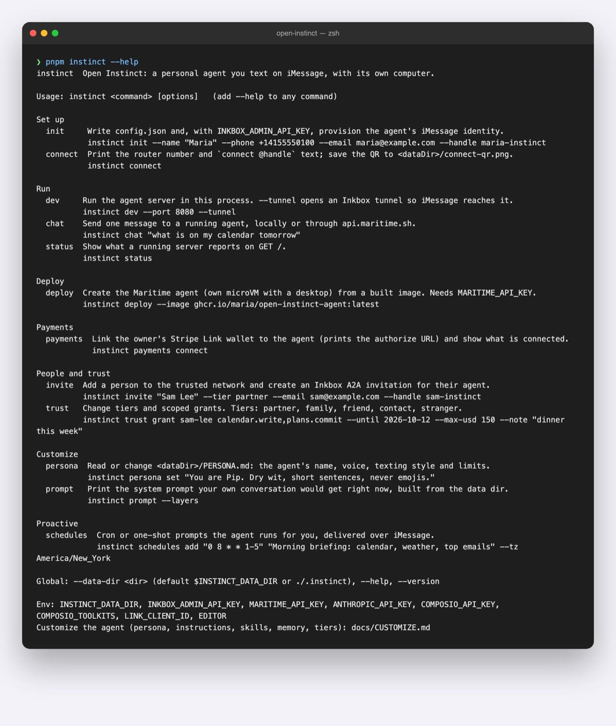 The instinct command: set up, run, deploy, payments, people and trust, persona, schedules